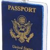 Kurt Adler Glass US Passport Ornament